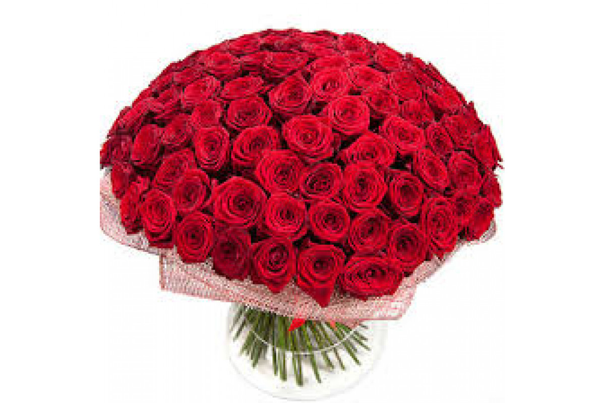 Цветы 99 роз. Букет красных роз. Большой букет роз. Букет из 101 розы.