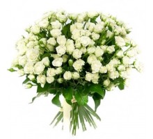 Роза кустовая White bubbles букет. Букет из кустовых роз Уайт Бабблс 31 шт. 60 см. (Россия)