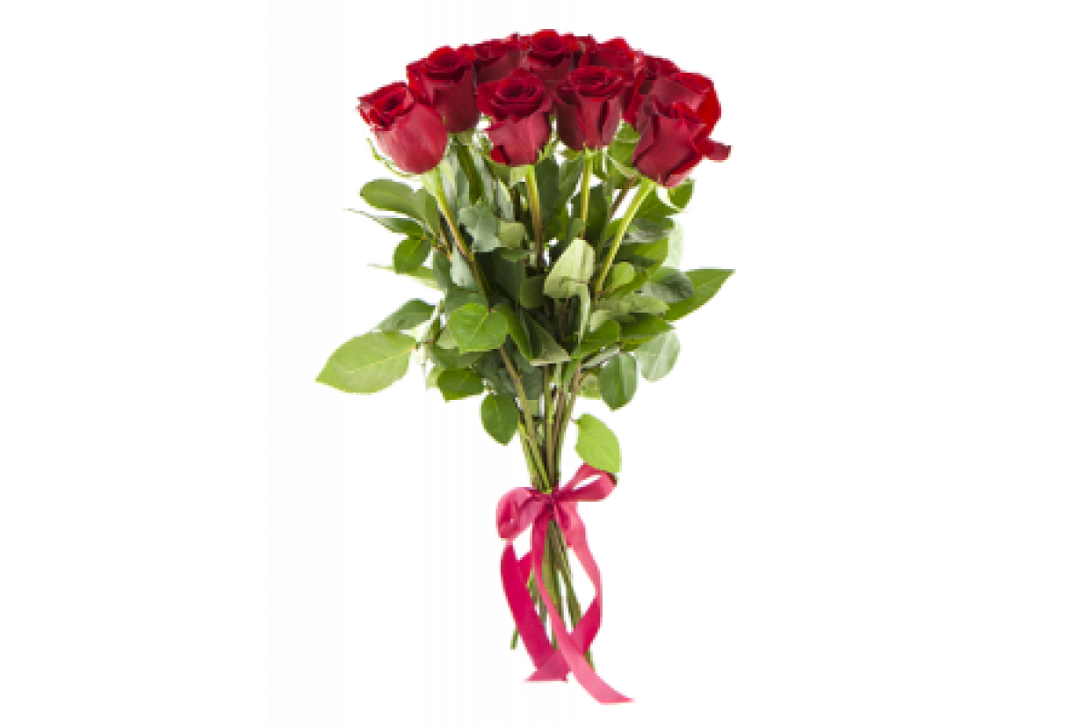 Букет роз 11 штук. Розы Голландия 70 см. Букет 11 красных роз Эквадор. Букет из 11 эквадорских роз.