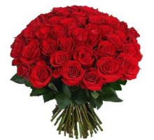 Роза красная 40 см. Роза красная букет 95 шт. (Эквадор)