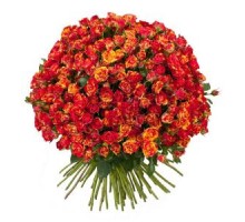 Роза кустовая красная с желтым. Букет из кустовых роз 45 шт. 50 см. (Эквадор)