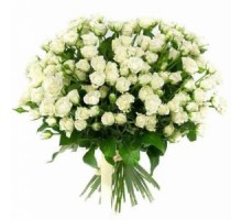 Роза кустовая белая букет. Букет из кустовых роз 41 шт. 60 см. (Эквадор)