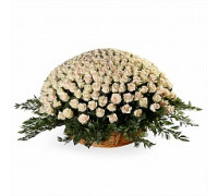 1001 кремовая роз в корзине. Корзина кремовых роз 50 см. (Эквадор)