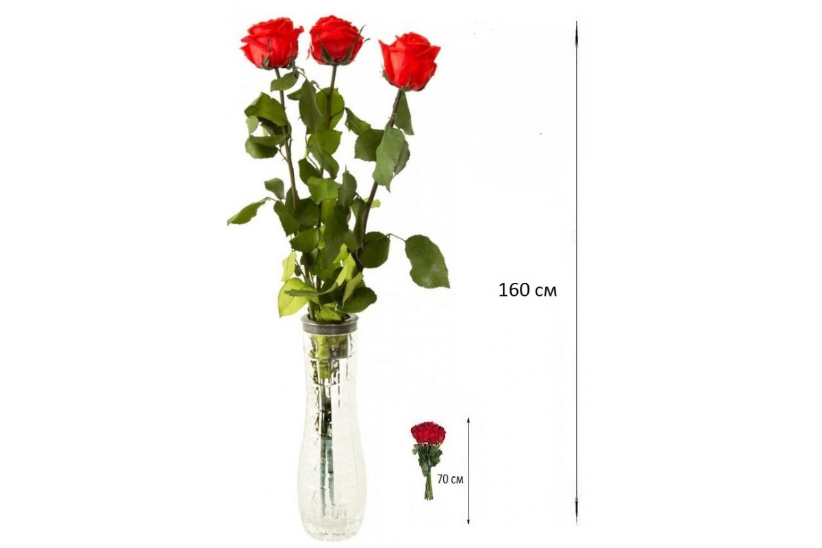 Средняя цена одной розы. Цветок на длинной ножке. Розы на длинной ножке. Розы 3 штуки.