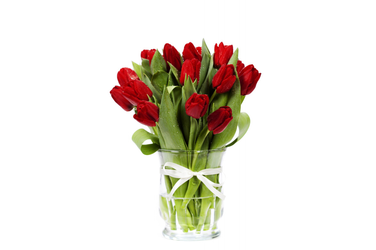 Тюльпаны Фото В Вазе