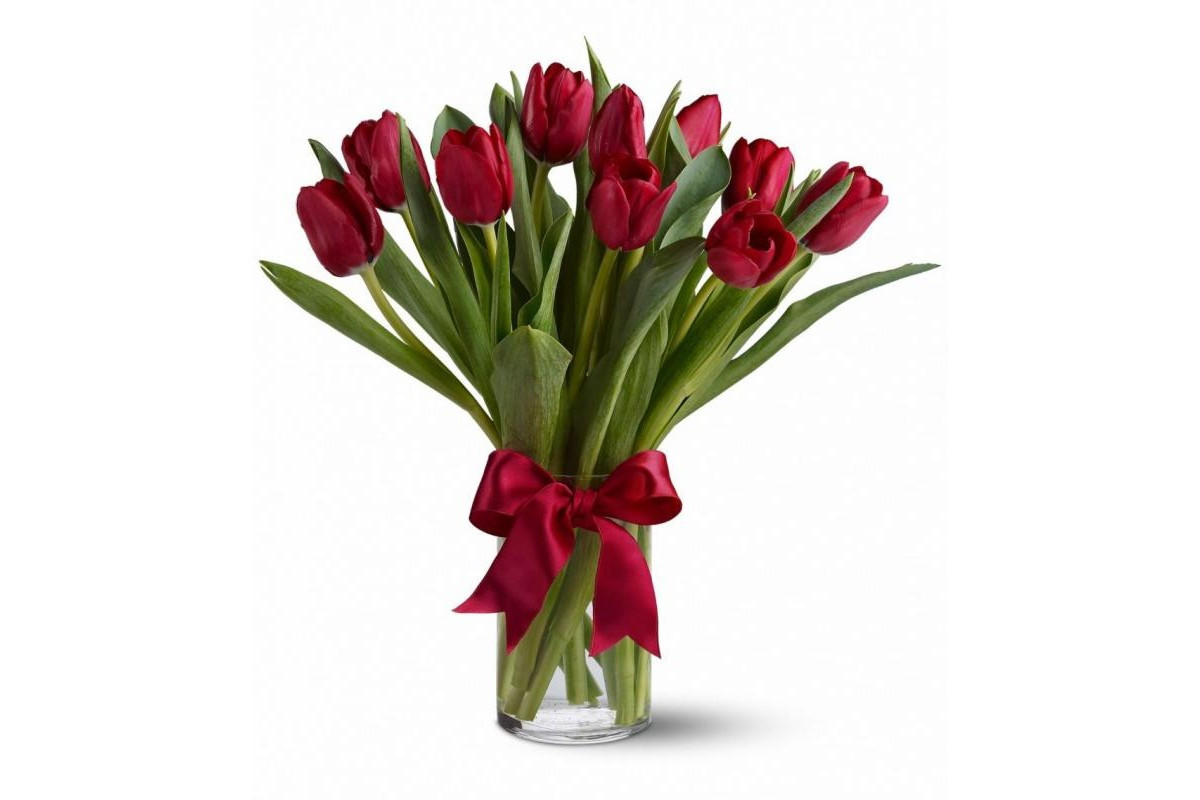 Бордовые тюльпаны купить набор гелевых ручек 100 цветов