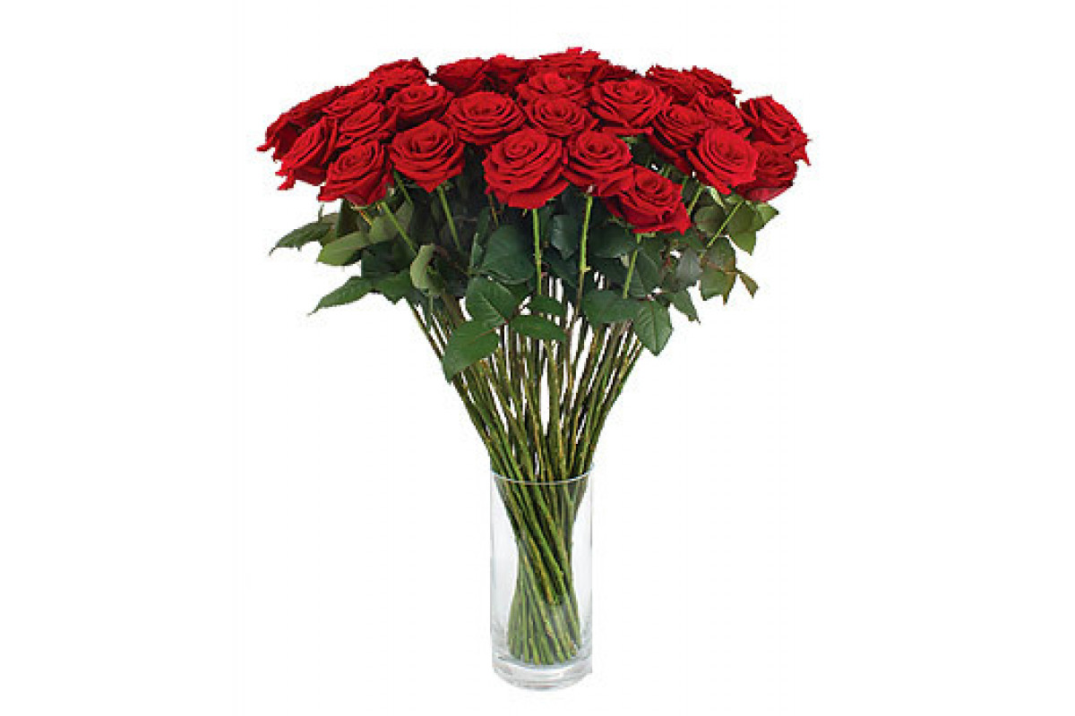 Красные розы длинные. Букет роз. Букет роз в вазе. Букет длинных роз. Бордовые розы в вазе.