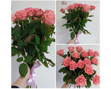 15 delicate roses 60 cm!