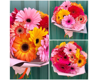 25 gerberas mix in a stylish package!