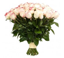 Роза Свитнесс (Sweetness) 80 см. Букет роз Свитнесс (Sweetness) 75 шт. (Эквадор)